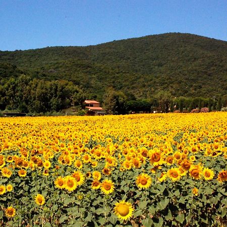 Agriturismo Valborgina Villa Castiglione della Pescaia Exterior foto